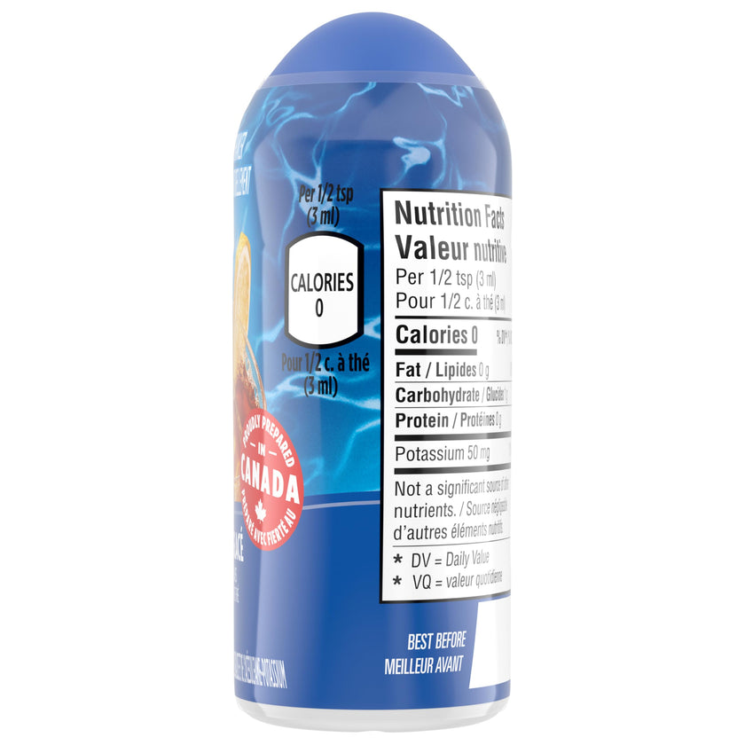 GOODHOST Iced Tea Liquid Water Enhancer, 12 Bottles, 744 g 🍁 All In One Marketplace Canada