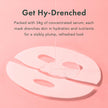 Rael Collagen PDRN Hydrogel Mask - Deep Hydration, Daily Face Masks for Face, Korean Skincare (4 Count) 🍁 All In One Marketplace Canada