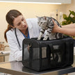 Conlun Cat Carrier Airline Approved, Soft-Sided Dog Carrier with Inner Safety Leash, Pet Transport Carrier for Small-Medium Cats Puppies up to 15 Lbs, Collapsible Travel Kitten Carrier Bag -Black M 🍁 All In One Marketplace Canada