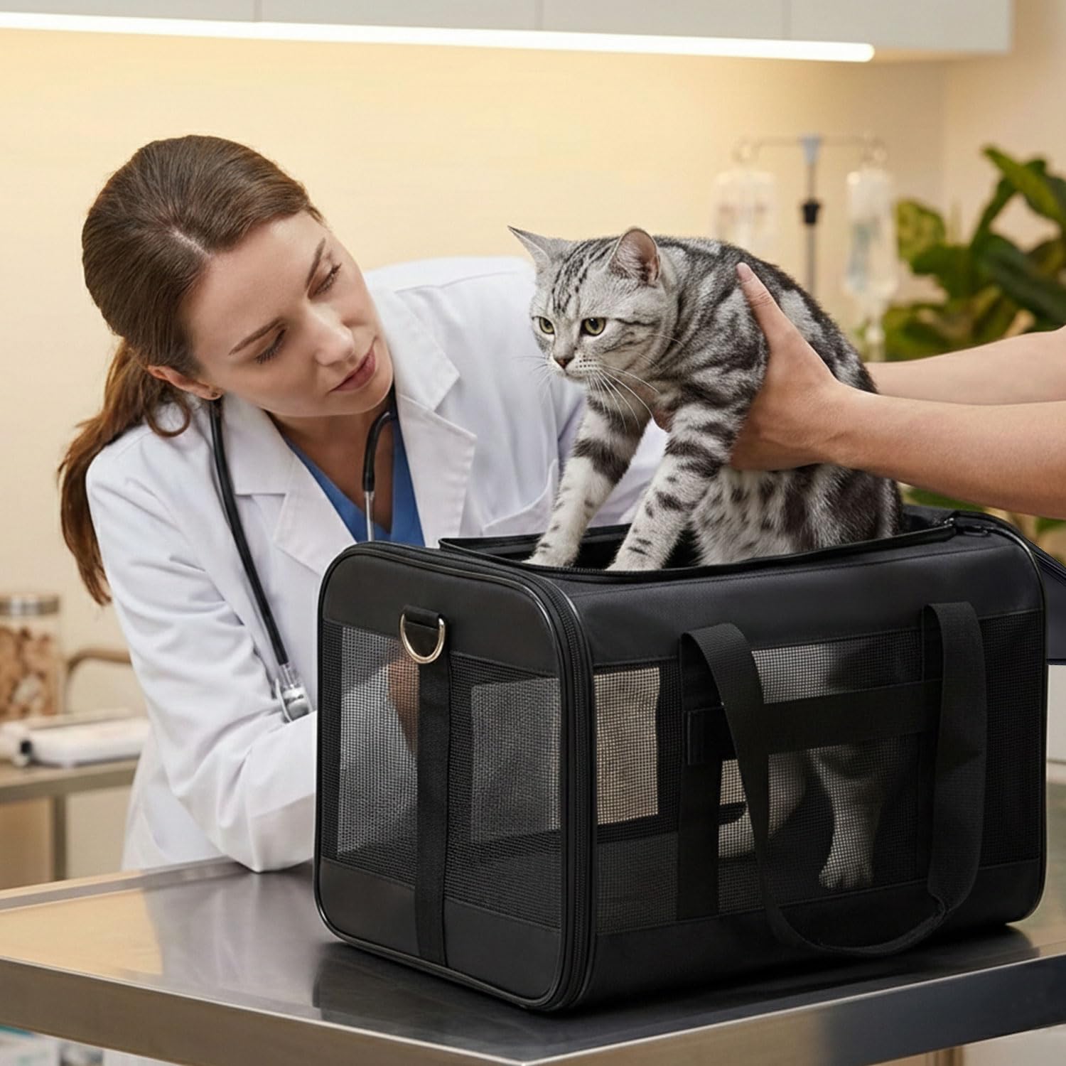 Conlun Cat Carrier Airline Approved, Soft-Sided Dog Carrier with Inner Safety Leash, Pet Transport Carrier for Small-Medium Cats Puppies up to 15 Lbs, Collapsible Travel Kitten Carrier Bag -Black M 🍁 All In One Marketplace Canada