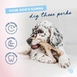 Benebone Puppy 4-Pack Dog Chew Toys for Gentle Chewers, Dog Bones, Small 🍁 All In One Marketplace Canada