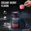 Vega Protein + Recovery, Berry – 30g Vegan Protein, Dairy & Gluten Free, Probiotics, NSF Certified, 801 g (19 Servings) 🍁 All In One Marketplace Canada