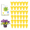 Garsum Fruit Fly Trap Indoor and Outdoor, 36 Pack Gnat Sticky Traps for House Plants, Flying Insect Trap for Fungus Gnat,Mosquitos, White Flies 🍁 All In One Marketplace Canada