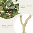 Realead 6ft Artificial Olive Tree with Tall Exquisite Planter - Realistic Faux Olive Tree with Thick Trunk and Lifelike Fruits - Large Fake Olive Tree for Home Office Decor 🍁 All In One Marketplace Canada