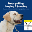 PetSafe Gentle Leader No-Pull Dog Headcollar - The Ultimate Solution to Pulling - Redirects Your Dog's Pulling for Easier Walks - Helps You Regain Control - Large, Charcoal 🍁 All In One Marketplace Canada