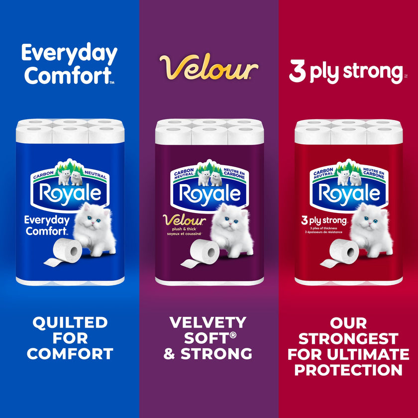 Royale 3-Ply Strong Toilet Paper, 48 Equal 96 Rolls, 165 Bathroom Tissues per roll 🍁 All In One Marketplace Canada