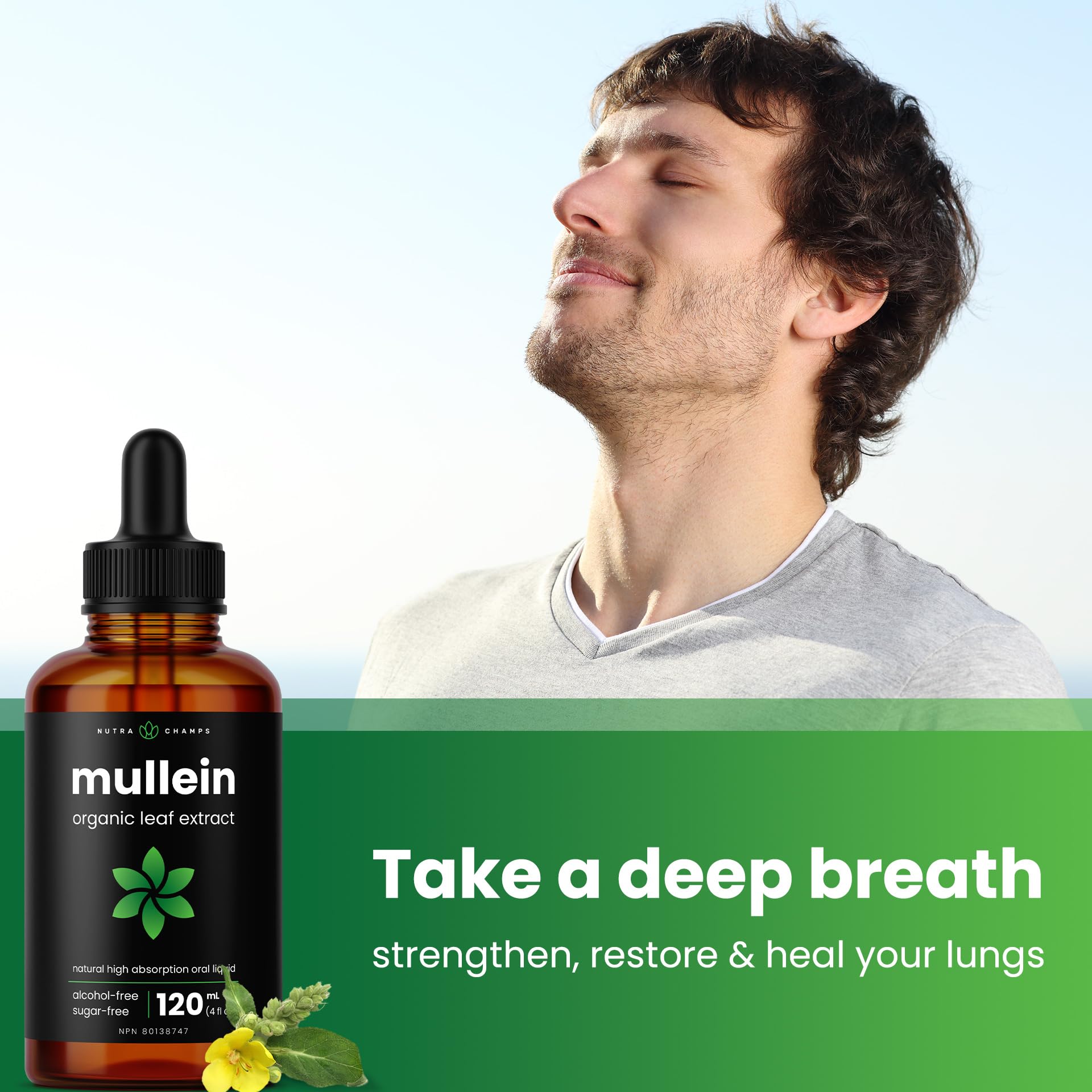 Organic Mullein Leaf Extract for Lungs - 4 Fl Oz - Herbal Tincture for Lung Cleanse & Flush - Natural Mullein Tea Alternative - Mullein Supplement Drops for Lungs - 1,000mg Equivalent Per Serving 🍁 All In One Marketplace Canada