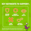 FLINTSTONES Kids Multivitamin Gummies Plus Immunity Support- Multivitamins for Kids, Kids Gummy With Zinc and Extra Vitamin C‡, Free of Artificial Sweeteners, Free of Aspartame, Free of Synthetic FD&C Dyes, 180 Gummies 🍁 All In One Marketplace Canada