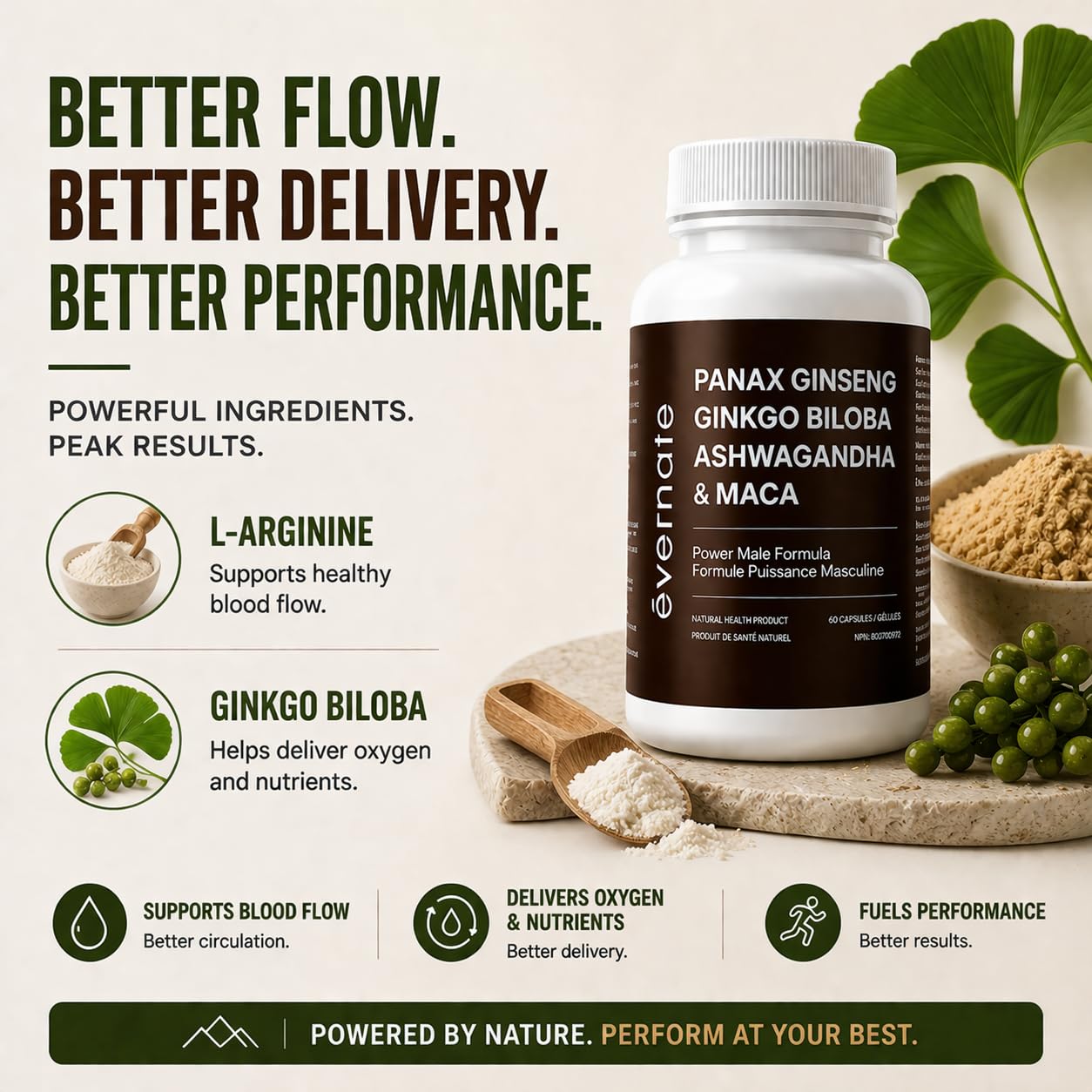 ONE Maca, Ginkgo Biloba, Panax Ginseng, Tribulus, Tongkat Ali, L-Arginine & Ashwagandha – Energy, Stamina, Endurance & Vitality Support – Made in Canada 🍁 All In One Marketplace Canada
