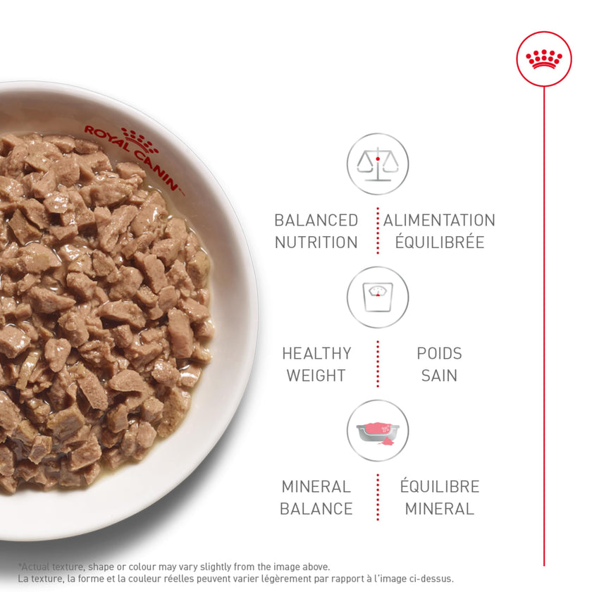 Royal Canin Adult Instinctive Thin Slices in Gravy Wet Cat Food, 3 oz can (12-Count) 🍁 All In One Marketplace Canada