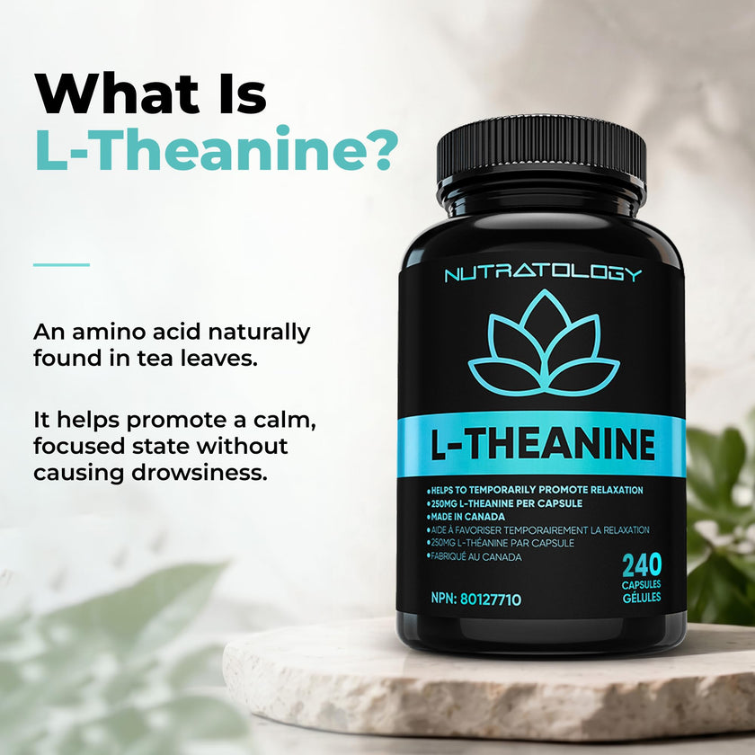 Nutratology® L-Theanine 250MG Capsules | Canadian-Made | For Stress Management | Promotes Relaxation & Calmness Without Drowsiness - L-Theanine Supplement for Stress Relief | 240 Capsules 🍁 All In One Marketplace Canada