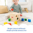 Melissa & Doug Shape Sorting Cube Wooden Classic Educational Toy 🍁 All In One Marketplace Canada