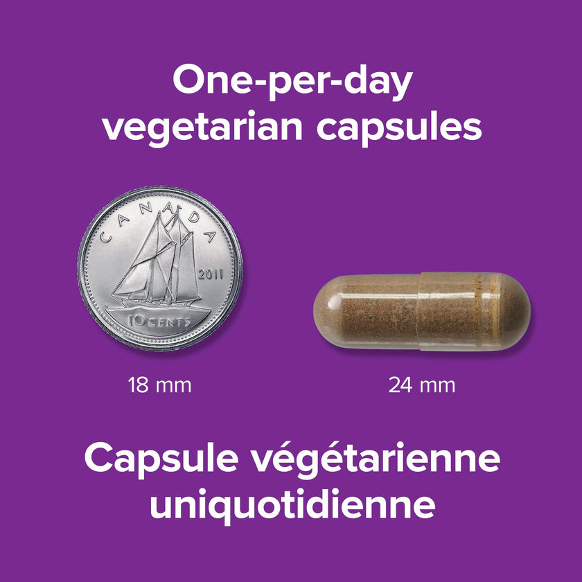 Webber Naturals Ashwagandha 6000 mg, 120 Capsules, Adaptogen to Help Reduce Stress & Increase Energy, Vegan 🍁 All In One Marketplace Canada