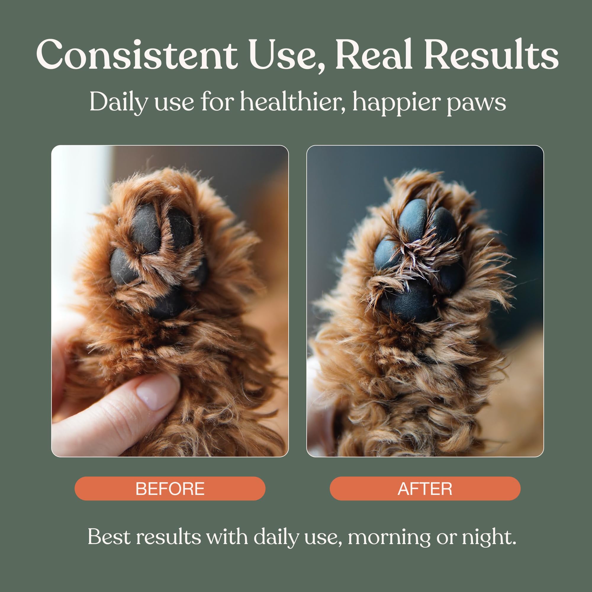 Dandylion Dog Paw Balm, Soft Paws, Paw Moisturizer for Dogs, Dog Lotion with Brush, Fragrance Free pH Balanced Lotion for Paws, Lightweight Moisture for Dry Cracked Paw Pads and Nose, 0.6 fl oz 🍁 All In One Marketplace Canada