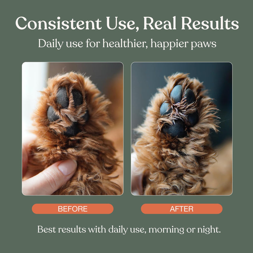 Dandylion Dog Paw Balm, Soft Paws, Paw Moisturizer for Dogs, Dog Lotion with Brush, Fragrance Free pH Balanced Lotion for Paws, Lightweight Moisture for Dry Cracked Paw Pads and Nose, 0.6 fl oz 🍁 All In One Marketplace Canada