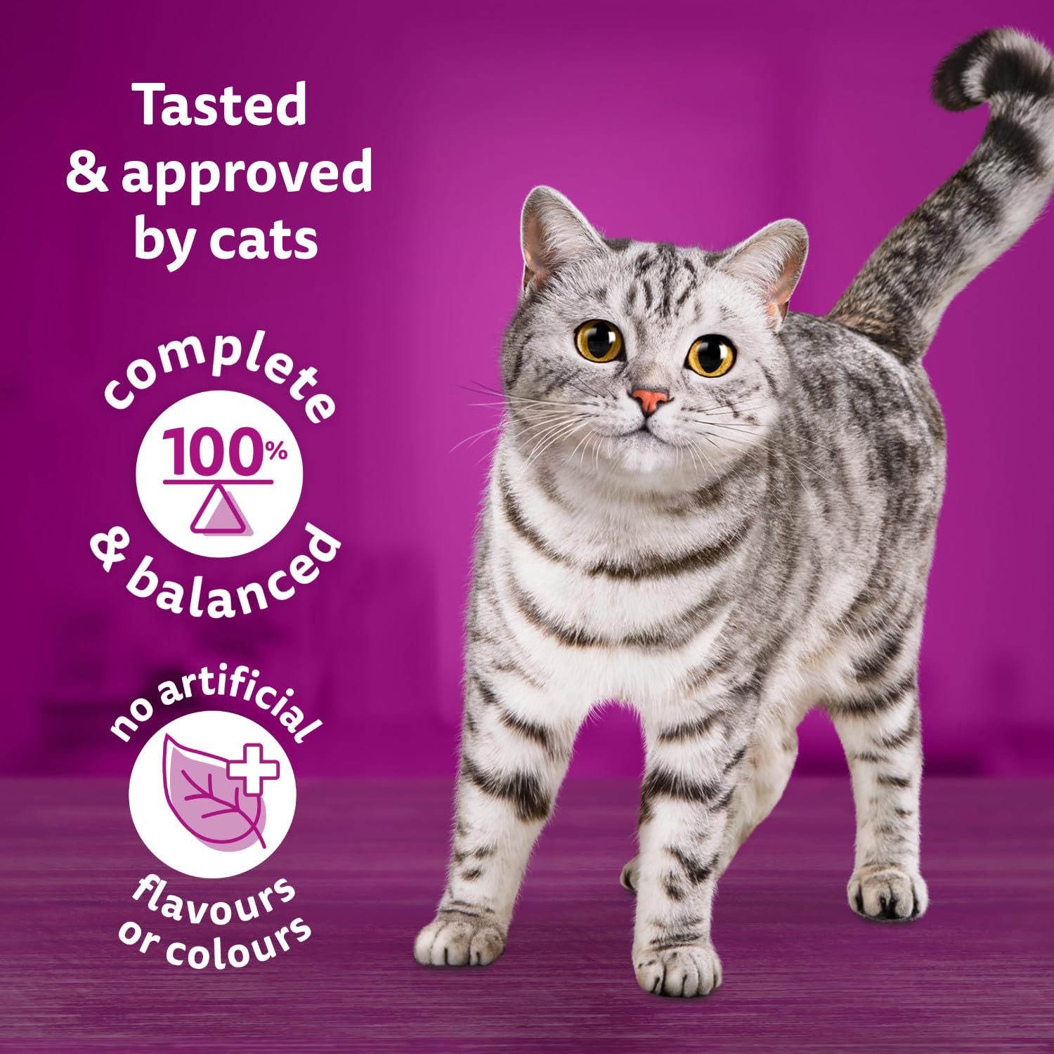 WHISKAS Seafood Selections Adult Dry Cat Food With Natural Salmon and Shrimp Flavour, Large 9.1kg Bag 🍁 All In One Marketplace Canada