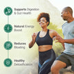 Nested Naturals Super Greens Powder - Organic Daily Greens Superfood Powder w/ 20+ Whole Foods, Spirulina, Wheat Grass & Barley Grass - Probiotics, Fiber & Enzymes - USDA Certified Organic, Original Flavour, 30 Servings 🍁 All In One Marketplace Canada