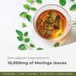 Herba 10,000MG Organic Moringa Capsules – 180 Count | Ultra Potent - 20:1 Extract | Made in Canada | Pure Moringa Capsules using Organic Moringa Powder 🍁 All In One Marketplace Canada
