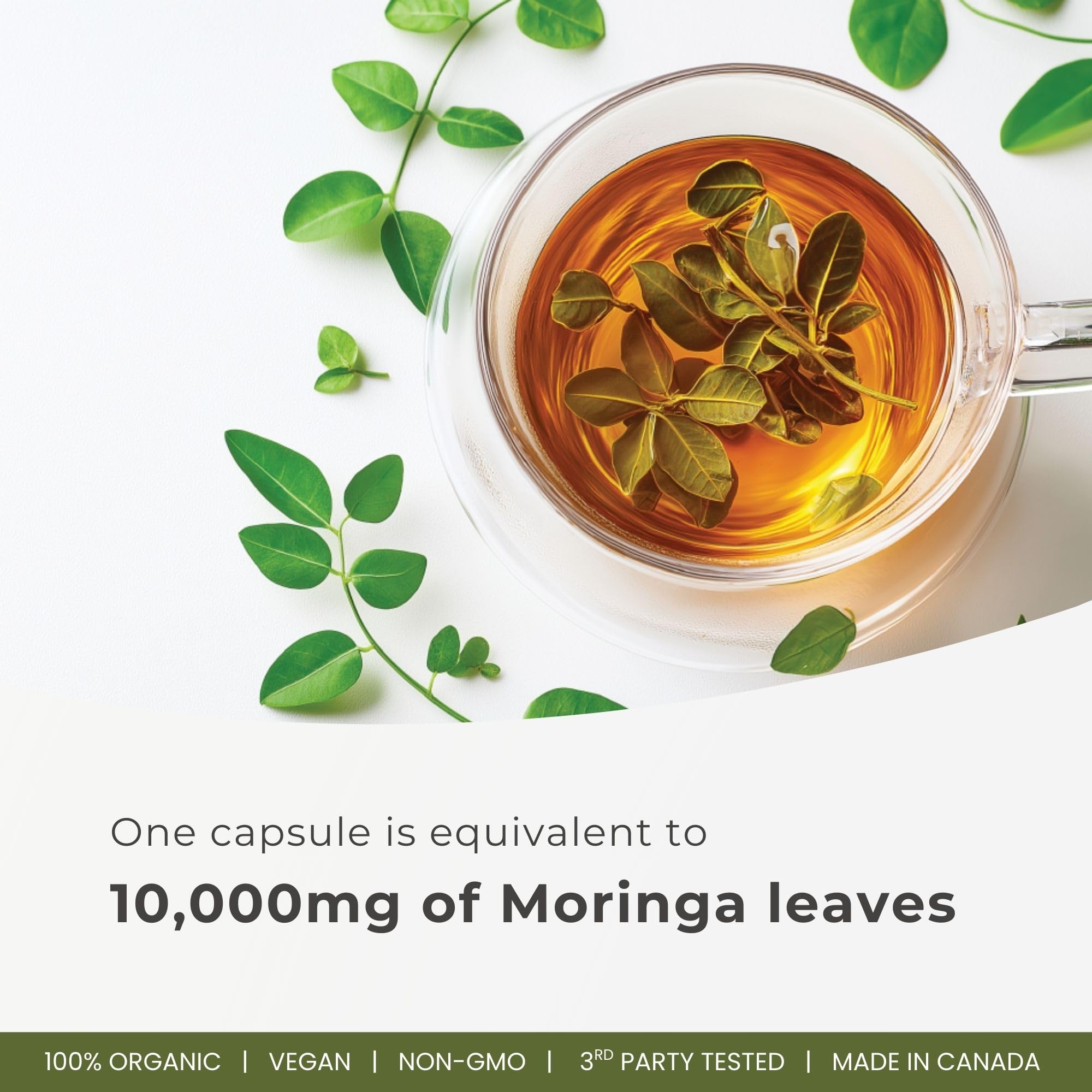 Herba 10,000MG Organic Moringa Capsules – 180 Count | Ultra Potent - 20:1 Extract | Made in Canada | Pure Moringa Capsules using Organic Moringa Powder 🍁 All In One Marketplace Canada