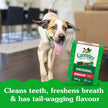 Greenies Adult Dog Treats, 765g 🍁 All In One Marketplace Canada