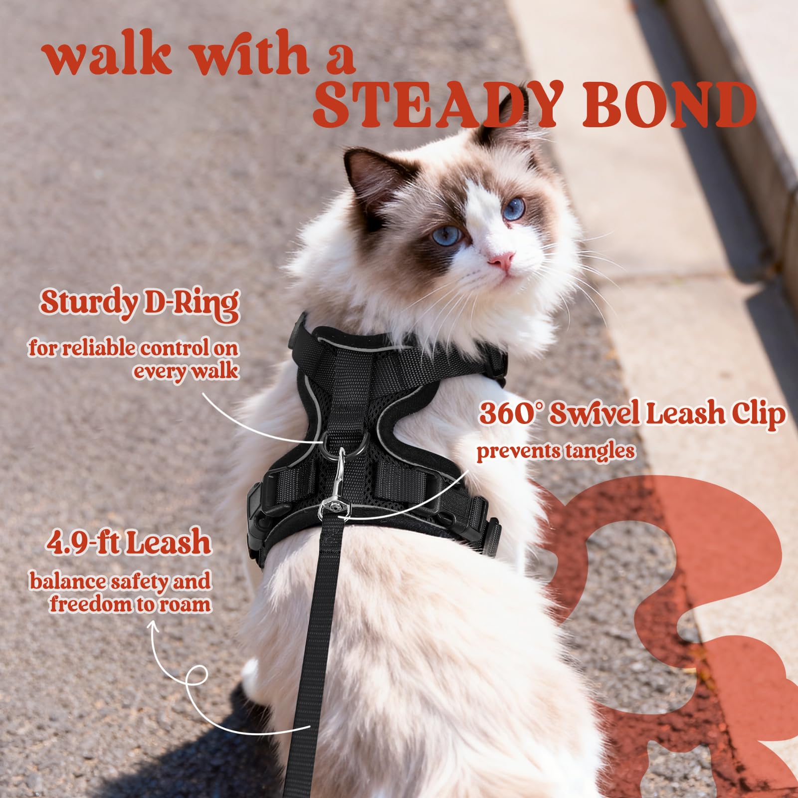 rabbitgoo Cat Harness and Leash for Walking, Escape Proof Soft Adjustable Vest Harnesses for Small Medium Cats, Easy Control Breathable Reflective Strips Jacket, XS, Black 🍁 All In One Marketplace Canada