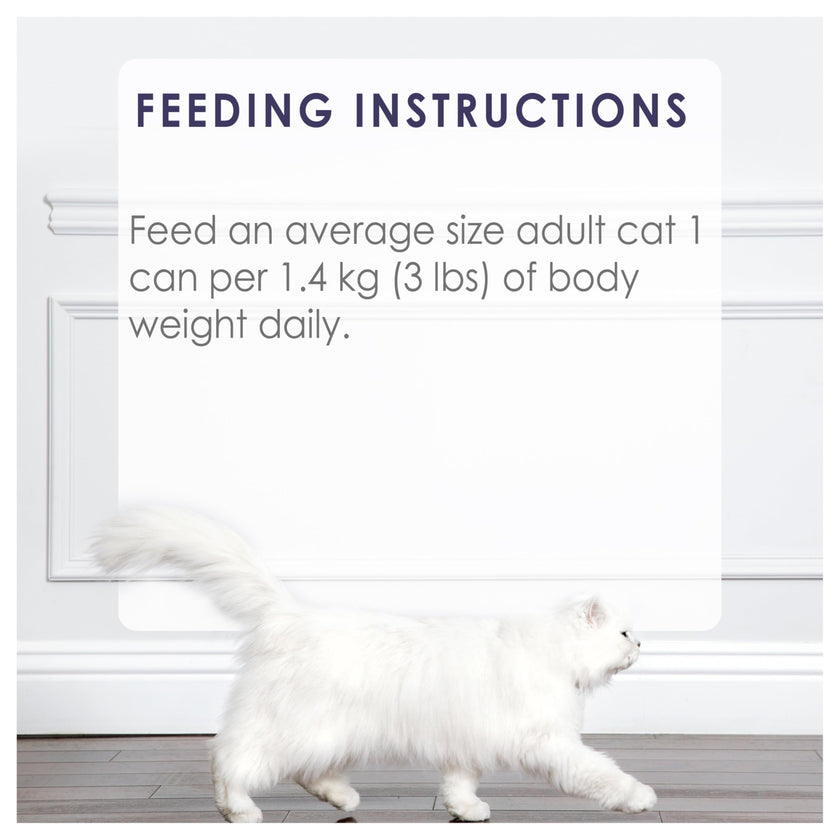 Fancy Feast Grilled Wet Cat Food, Turkey Feast in Gravy - 85 g Can (24 Pack) 🍁 All In One Marketplace Canada
