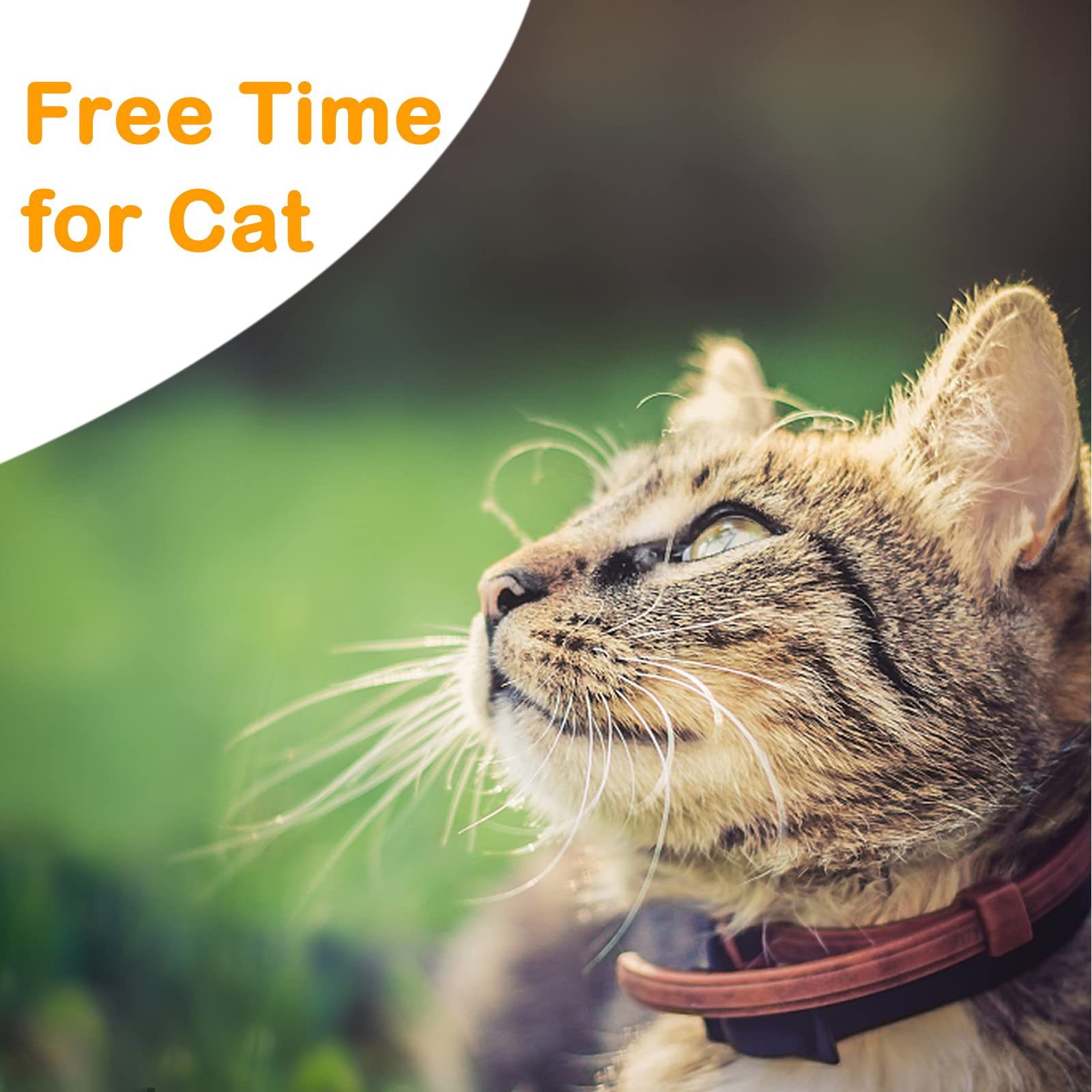 Extra Long Cat Leash for Yard, 9M/30FT Lightweight Outdoor Cat Leash Long Light Extension, Long Thin Lead for Rabbits, Kitten, Puppy and Small Animals 🍁 All In One Marketplace Canada