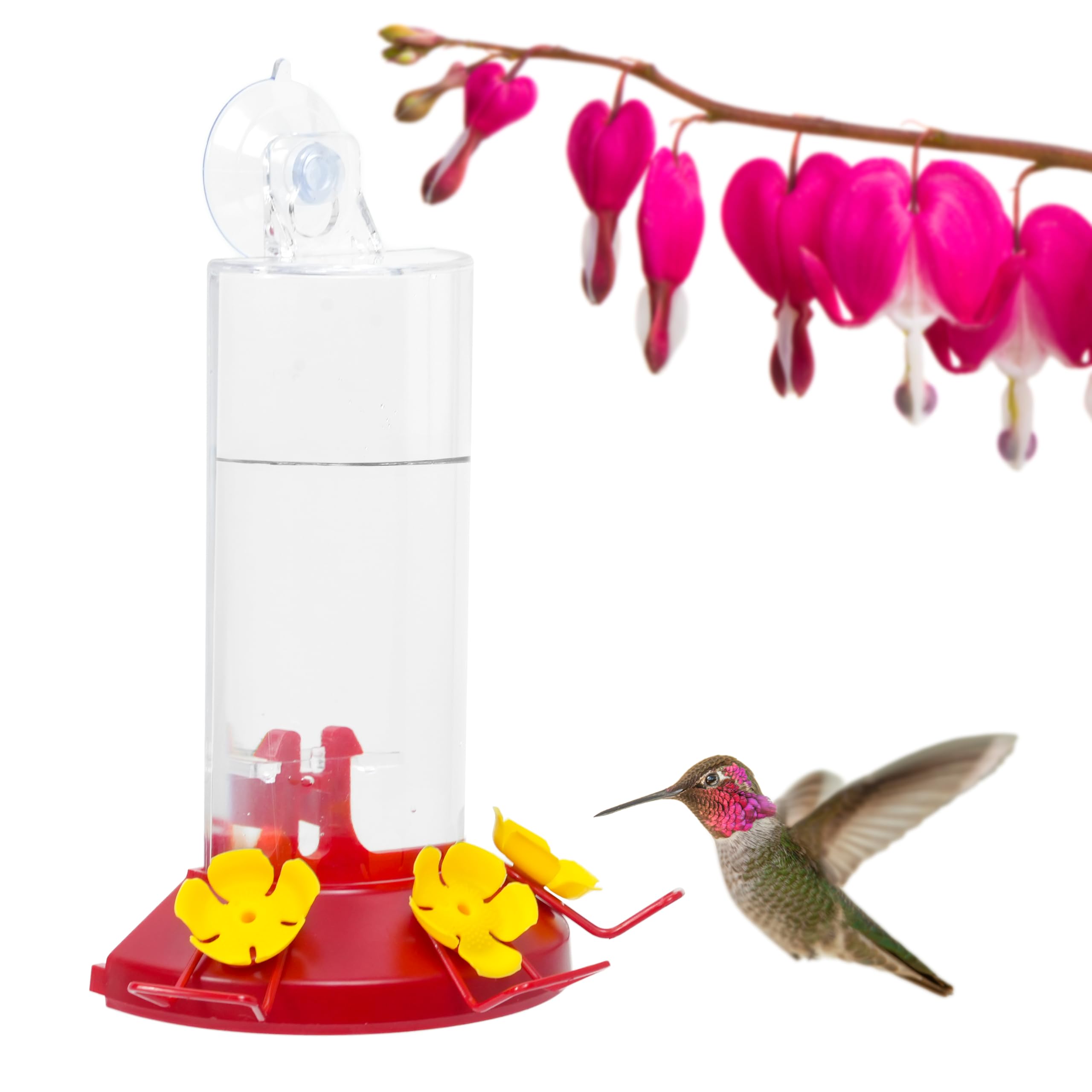 Perky-Pet 8-Ounce Window Mount Hummingbird Feeder 217 🍁 All In One Marketplace Canada