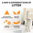 ARM & HAMMER Hardball Clumping Litter, Platinum Formula, Lightweight, Easy No-Mess Scooping, 3.86 KG 🍁 All In One Marketplace Canada