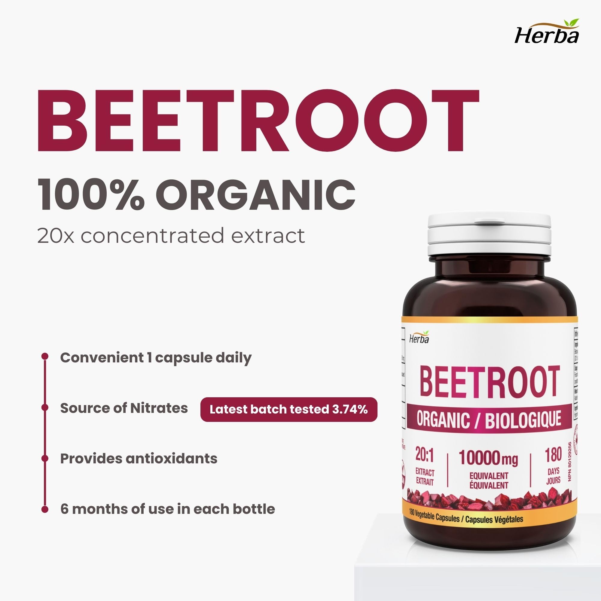 Herba 10,000mg Organic BeetRoot Capsules – 180 Count | 20:1 Beet Root Powder in Capsule | Nitric Oxide Supplements for Men & Women | Made in Canada 🍁 All In One Marketplace Canada