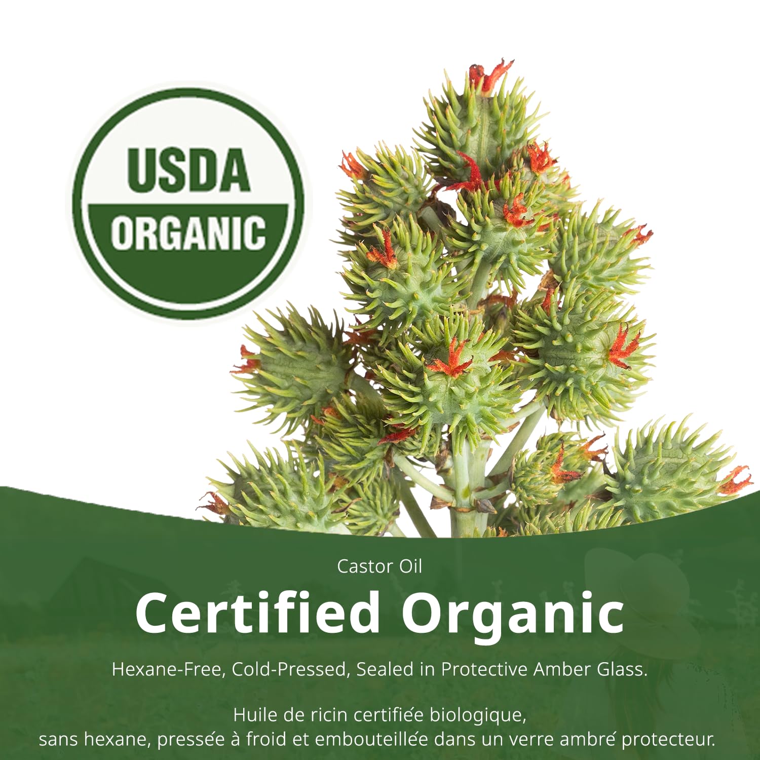 ST FRANCIS HERB FARM Castor Oil (500ml) USDA Certified Organic, Cold Pressed, Hexane-Free, GMO Free, Vegan, Vegetarian, Sealed in Protective Amber Glass (1 Bottle) Hair, Skin, and Nail Care 🍁 All In One Marketplace Canada