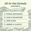 L Theanine, Magnesium Glycinate + Ashwagandha Supplement | Relaxation, Sleep & Memory Support | Stress Relief, Calm, Mood & Sleep Supplements | Made in Canada & Non-GMO | 120 Ct 🍁 All In One Marketplace Canada