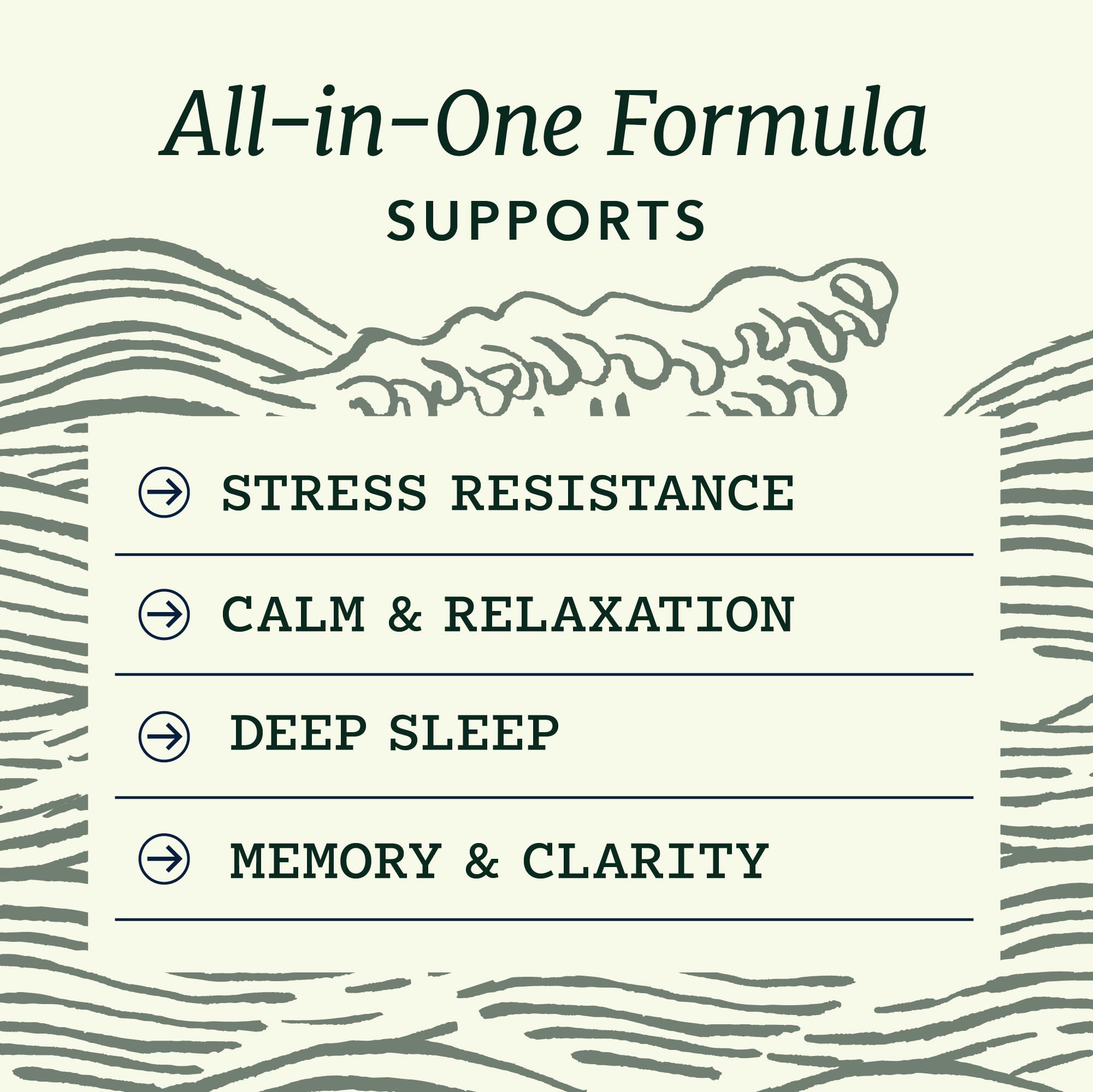 L Theanine, Magnesium Glycinate + Ashwagandha Supplement | Relaxation, Sleep & Memory Support | Stress Relief, Calm, Mood & Sleep Supplements | Made in Canada & Non-GMO | 120 Ct 🍁 All In One Marketplace Canada
