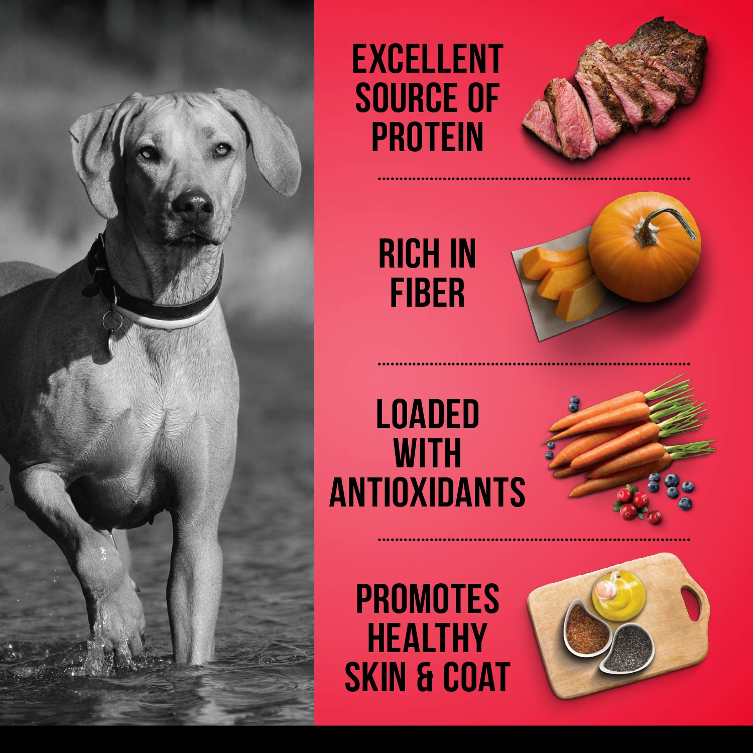 Zoe Grain Free Dog Food, All Breeds, Beef with Peas & Pumpkin, 5 kg 🍁 All In One Marketplace Canada