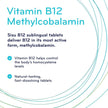 Sisu Vitamin B12 1000 mcg Methylcobalamin Sublingual Tablets, Unflavoured, 180 Tablets, Supports Energy Metabolism and Red Blood Cell Formation 🍁 All In One Marketplace Canada