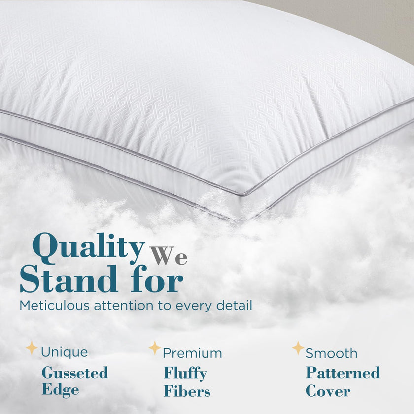 viewstar Bed Pillows Queen Size 2 Pack, Firm Support Gusseted Side Sleeper Hotel Pillow for Back and Stomach Sleeping, White 🍁 All In One Marketplace Canada