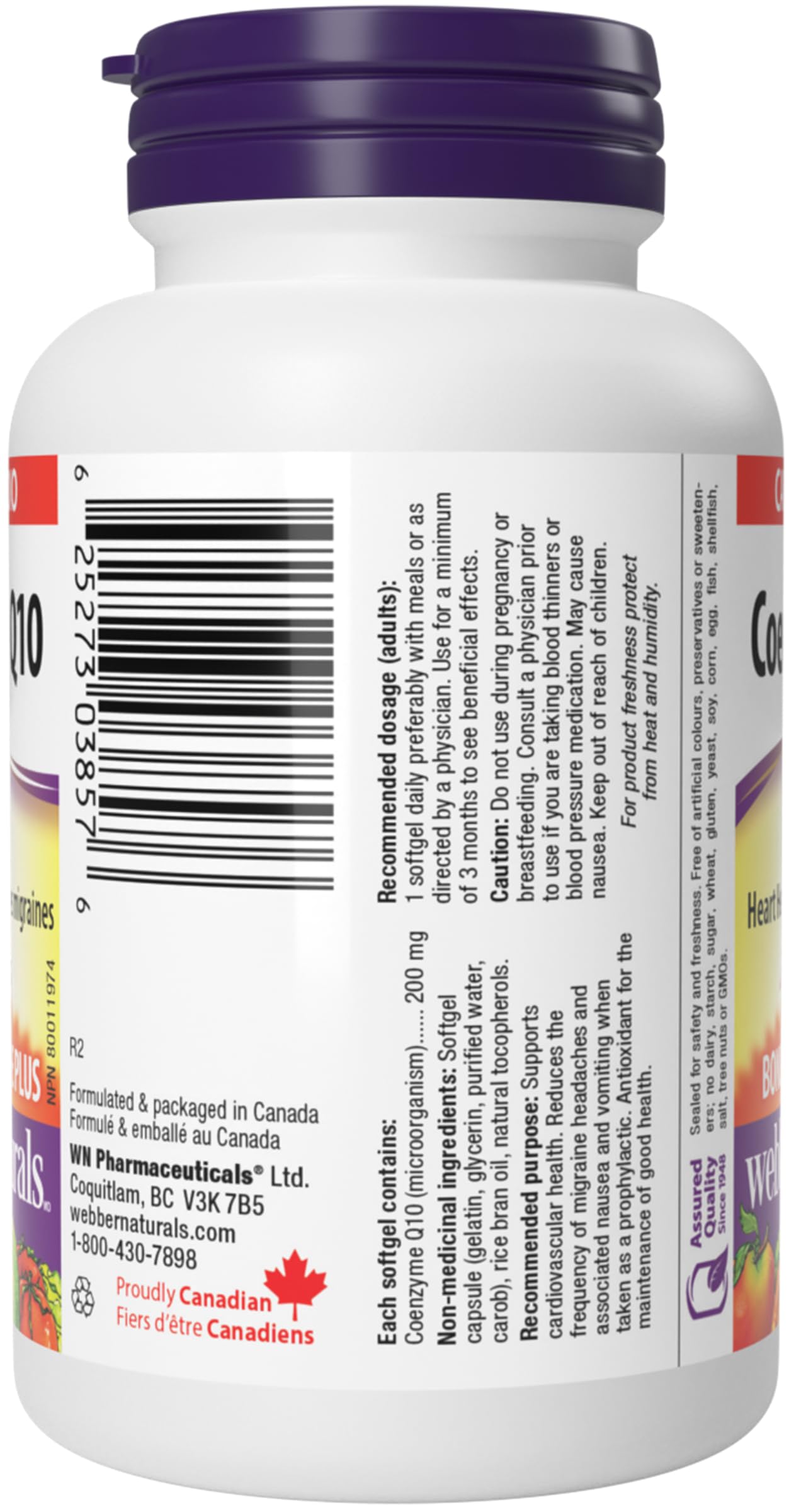 Webber Naturals Coenzyme Q10 (CoQ10) 200 mg, High Potency Antioxidant, Non-GMO, Gluten Free, 60 softgels, for Heart Health and Cellular Energy Production 🍁 All In One Marketplace Canada
