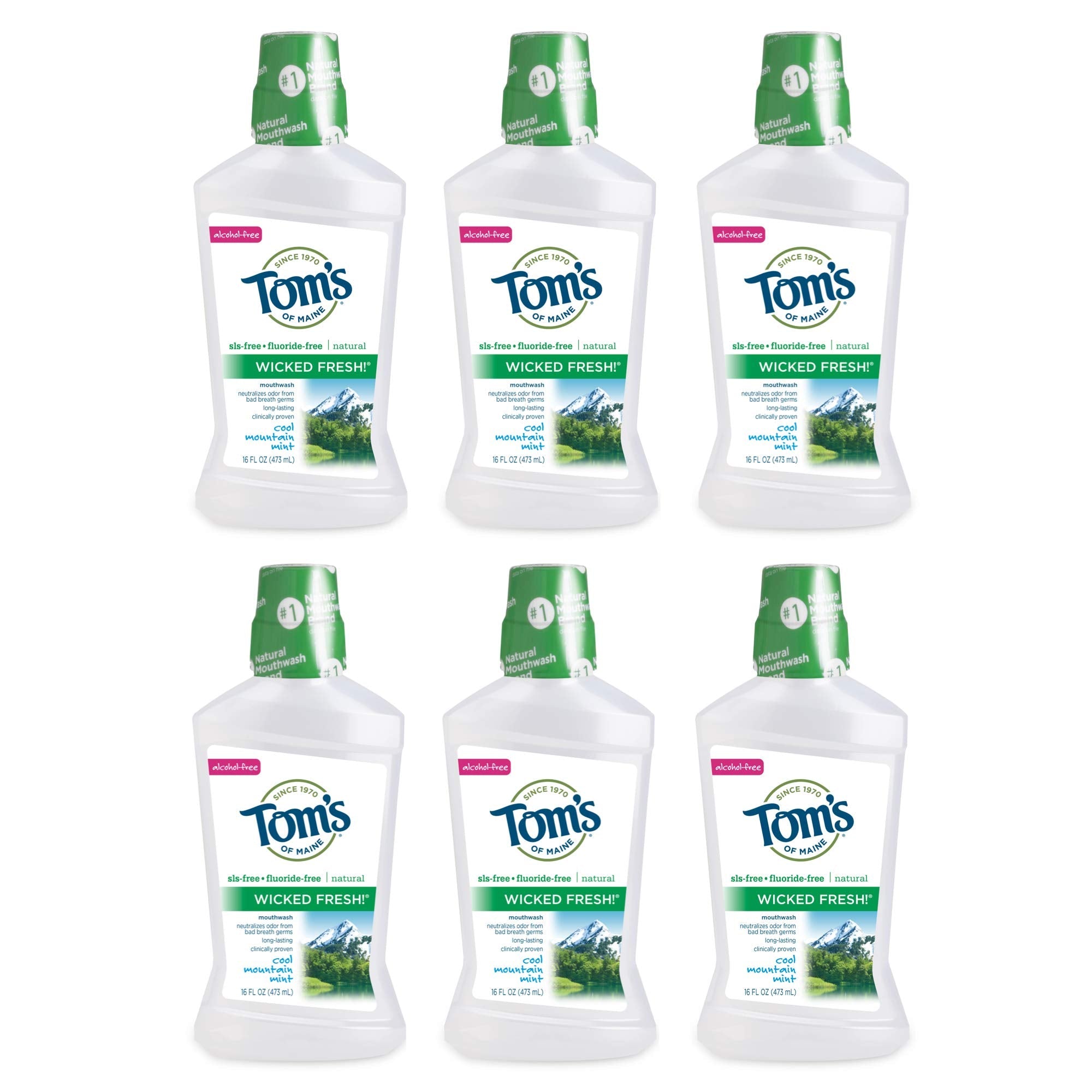 Tom's of Maine Wicked Fresh! Natural Fluoride Free Mouthwash, Cool Mountain Mint, 473ml, 6 pack 🍁 All In One Marketplace Canada