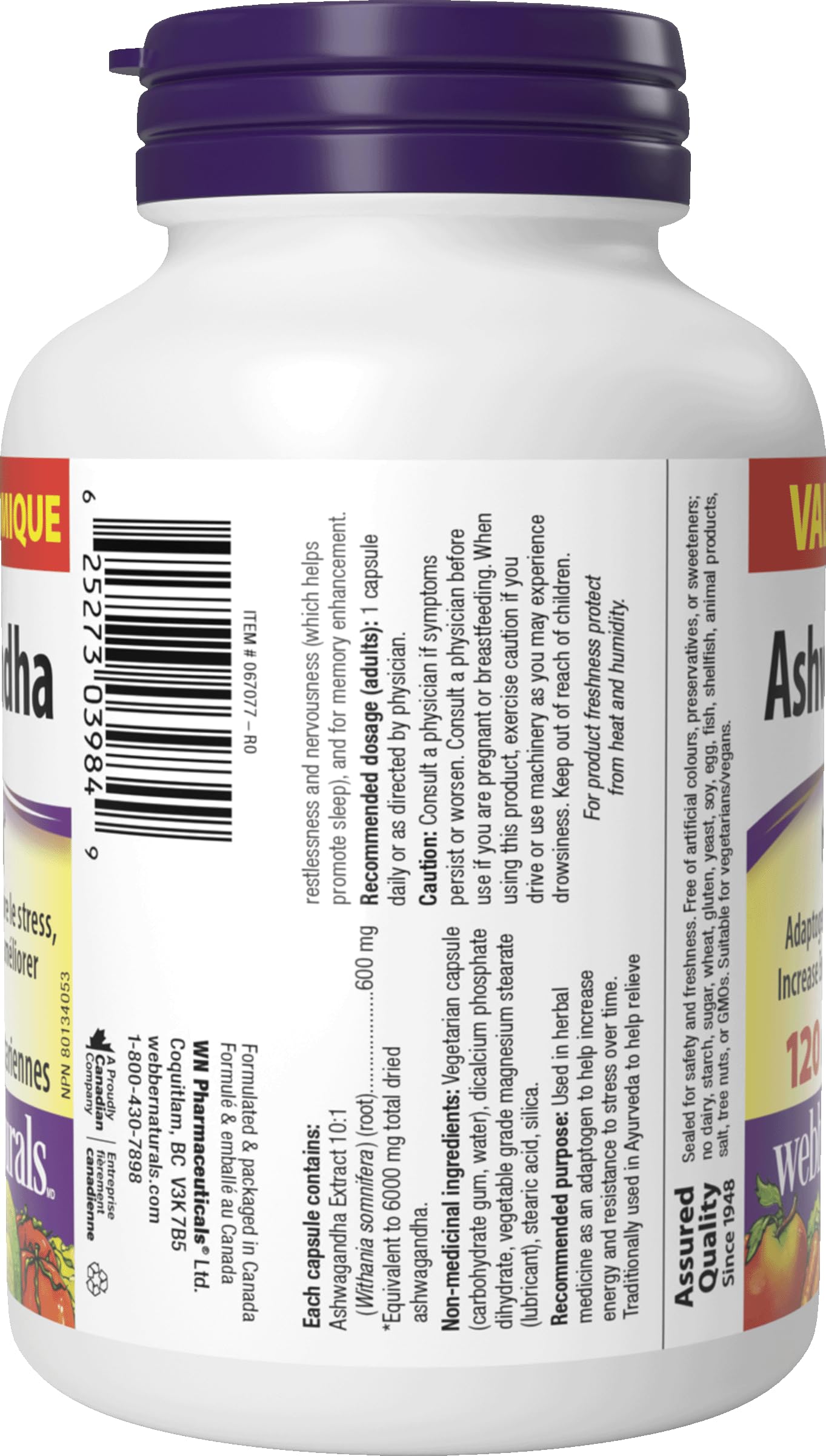 Webber Naturals Ashwagandha 6000 mg, 120 Capsules, Adaptogen to Help Reduce Stress & Increase Energy, Vegan 🍁 All In One Marketplace Canada