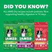 IAMS Proactive Health Minichunks Dry Dog Food – Crunchy Kibble for Adult Dogs – Chicken & Whole Grain Recipe – 13.61KG (30LB) Bag 🍁 All In One Marketplace Canada