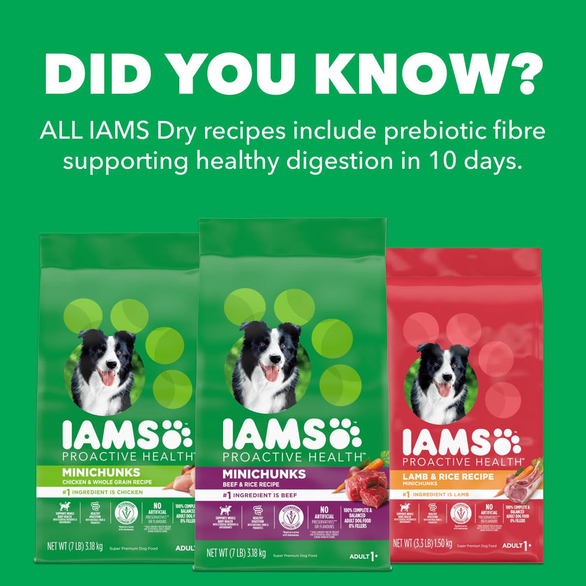 IAMS Proactive Health Minichunks Dry Dog Food – Crunchy Kibble for Adult Dogs – Chicken & Whole Grain Recipe – 13.61KG (30LB) Bag 🍁 All In One Marketplace Canada