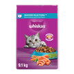 WHISKAS Seafood Selections Adult Dry Cat Food With Natural Salmon and Shrimp Flavour, Large 9.1kg Bag 🍁 All In One Marketplace Canada