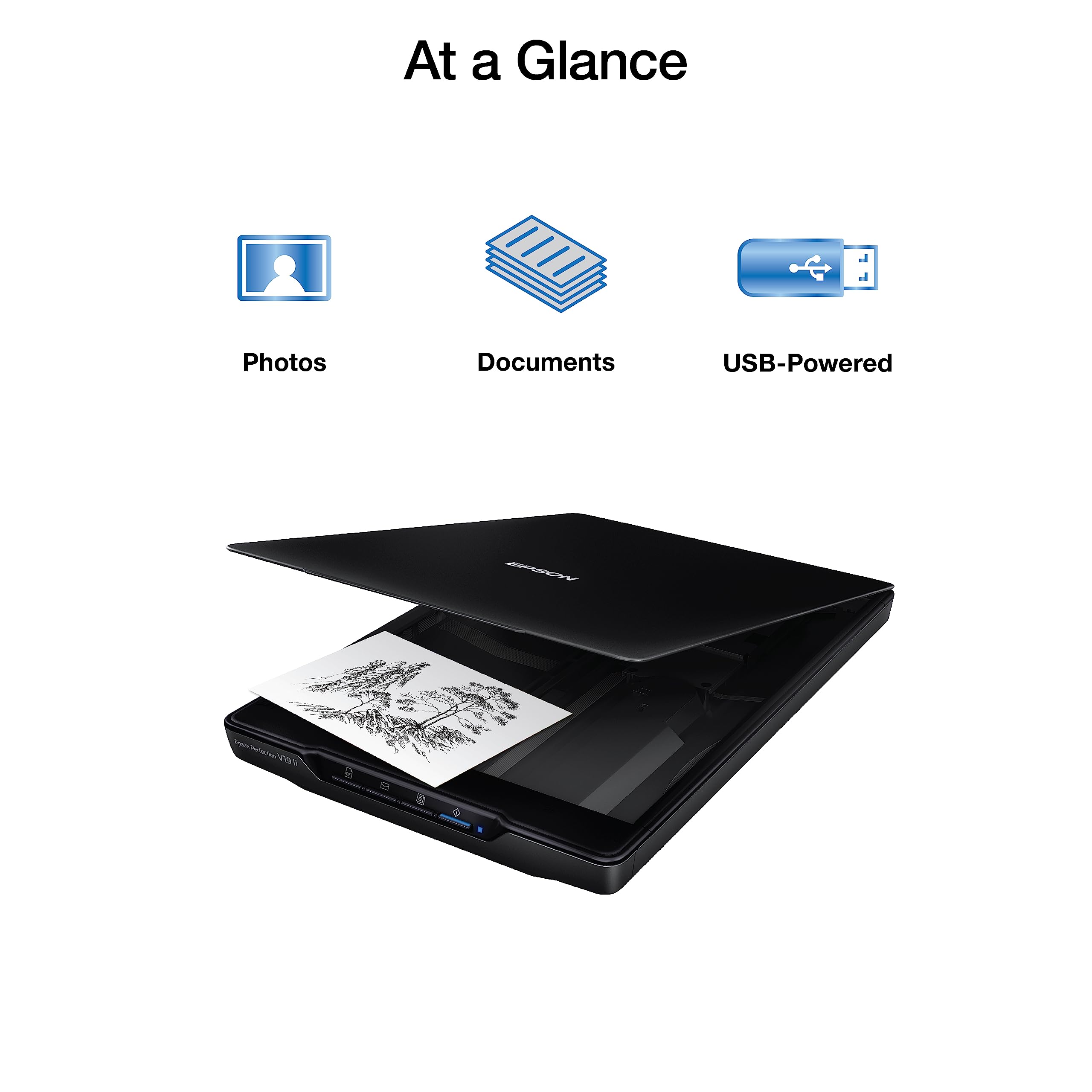 Epson Perfection V19 II Flatbed Photo Scanner 4800 dpi Optical Resolution 🍁 All In One Marketplace Canada