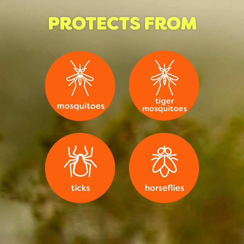 OFF! Deep Woods Dry Powder-Soft Mosquito Repellent, 25% DEET Insect Spray, Long-Lasting Bug Protection Tick Repellent, 360° Aerosol Camping Essential, 113g, 3- Pack 🍁 All In One Marketplace Canada