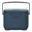 Coleman Chiller 16QT/15L Insulated Portable Cooler with Ice Retention & Large Carry Handle, Great for Camping, Tailgating, Parties, Sports, Concerts, Lunches & More 🍁 All In One Marketplace Canada