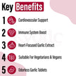 Kyolic - Odourless Aged Garlic Extract Everyday Support Extra Strength One-A-Day 1000mg, 60 Veg Tablets 60-Day Supply - Kyolic Garlic Supplements, Garlic Pills - Herbal Supplement for Wellness Support 🍁 All In One Marketplace Canada