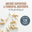 Lion’s Mane Supplement & Nootropic for Mental Clarity | 4 Month Supply | Performance & Memory Support | Antioxidant Rich & Immunomodulating Mushroom | Extra Strength Lions Mane 500mg | Non-GMO 120ct 🍁 All In One Marketplace Canada