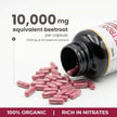 Herba 10,000mg Organic BeetRoot Capsules – 180 Count | 20:1 Beet Root Powder in Capsule | Nitric Oxide Supplements for Men & Women | Made in Canada 🍁 All In One Marketplace Canada