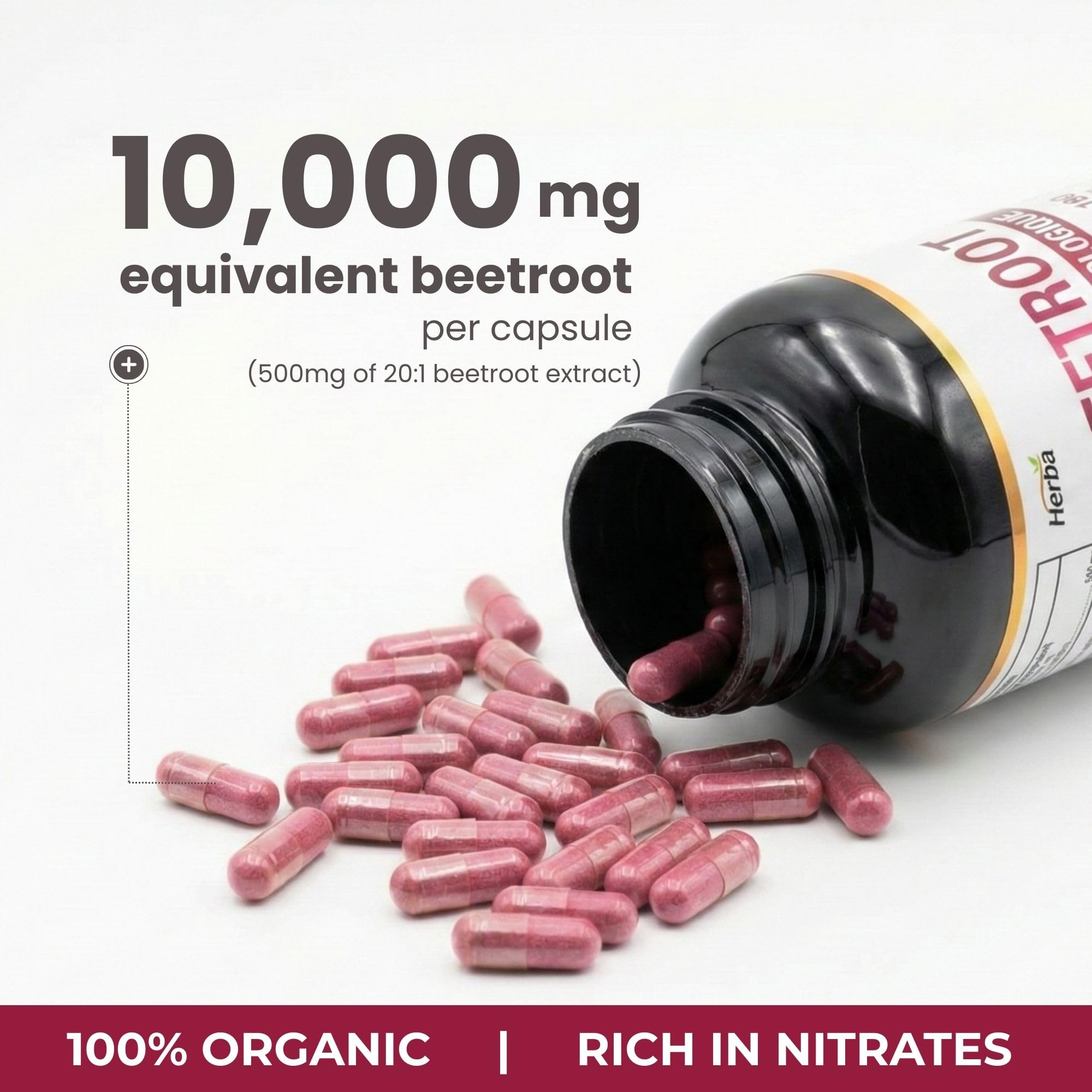 Herba 10,000mg Organic BeetRoot Capsules – 180 Count | 20:1 Beet Root Powder in Capsule | Nitric Oxide Supplements for Men & Women | Made in Canada 🍁 All In One Marketplace Canada