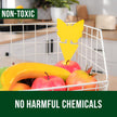 Garsum Fruit Fly Trap Indoor and Outdoor, 36 Pack Gnat Sticky Traps for House Plants, Flying Insect Trap for Fungus Gnat,Mosquitos, White Flies 🍁 All In One Marketplace Canada